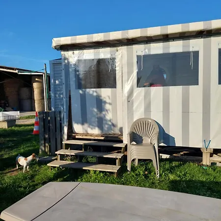 Pole Equestre La Challoire 85290 Evrunes Kemping La Hinchere