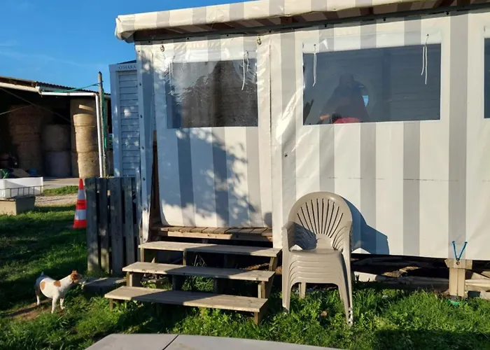 Pole Equestre La Challoire 85290 Evrunes Kemping La Hinchere